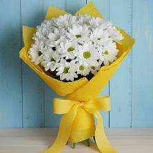 Букет цветов из:  Хризантемы в Тропарево