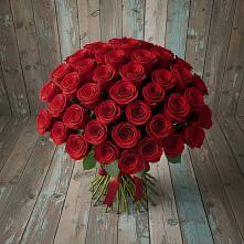 Букет 55 Красных роз Фридом #REPLACE_PRED# Тропарево