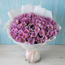Букет цветов из:  Хризантемы в Тропарево