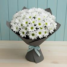 Букет цветов из:  Хризантемы в Тропарево