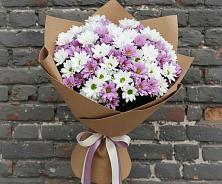 Букет цветов из:  Хризантемы в Тропарево