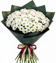 Букет цветов из:  Хризантемы #REPLACE_PRED# Тропарево