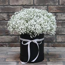 Цветочная композиция из Гипсофила в шляпной коробке в Тропарево