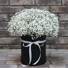 Цветочная композиция из Гипсофила в шляпной коробке в Тропарево