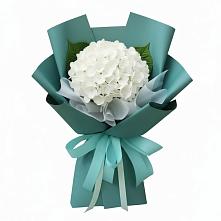 Букет цветов из:  Гортензия в Тропарево